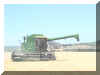 Wheat Harvest R Lucky Star Ranch | Antique Farm Tools Museum - Antique Wrench Book - Marsing Idaho