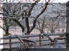 Winter Backyard R Lucky Star Ranch | Antique Farm Tools Museum - Antique Wrench Book - Marsing Idaho